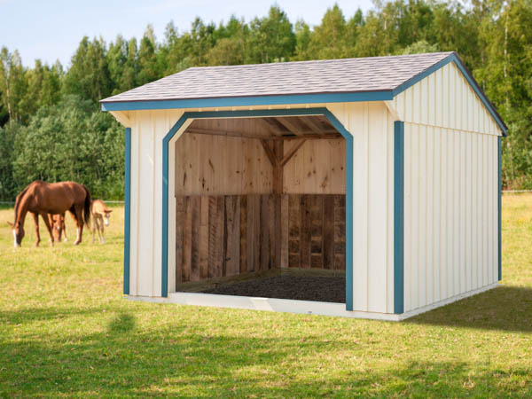 10' x 12' run in horse shed finished in white with blue trim.