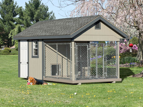 Elite double dog kennel shed.