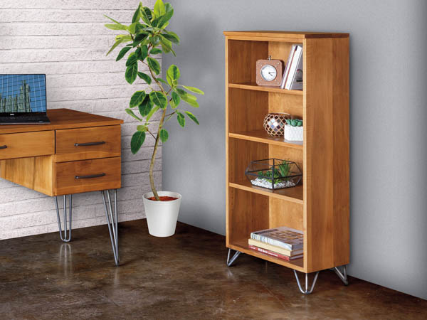 Living Room Bookcases