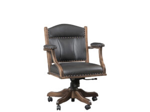 Desk Chair with Low Back